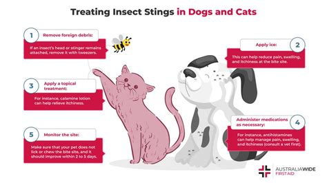 First Aid For Insect Stings In Pets