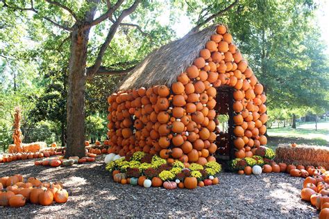 Obsessed With Pumpkins Visit These 24 Amazing Pumpkin Farms