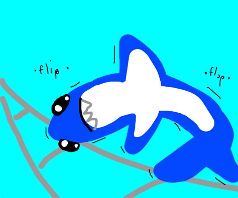 Uwu Shark Drawception
