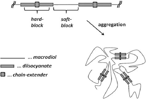 Polymer Architecture Of Tpus Single Polymer Chain Top And