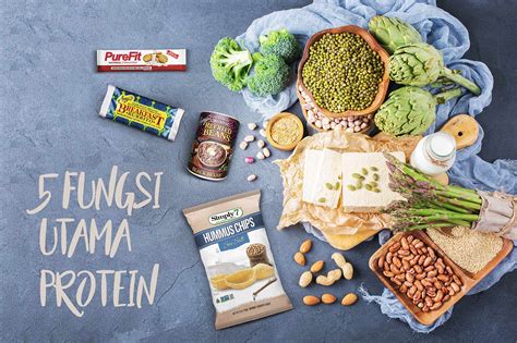 Fungsi Utama Protein PT Rubiyat Indonesia