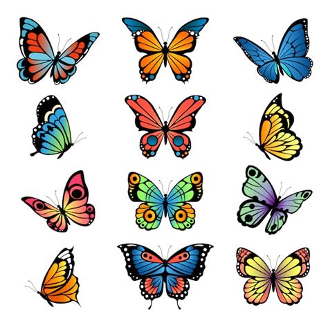 Varias Mariposas De Dibujos Animados Establecer Ilustraciones