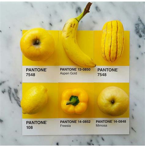 Pantone Palette Pantone Colour Palettes Pantone Color Yellow Pantone