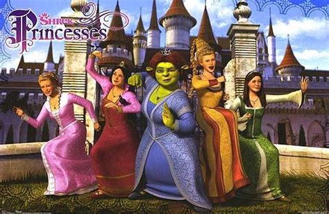 Princess Fiona Shrek Shrek Non Disney Princesses Princess Fiona