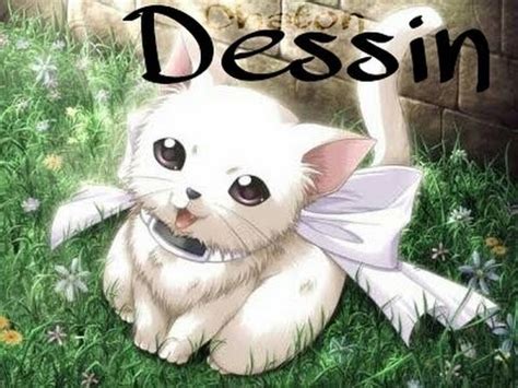 ▶meilleure photo pour votre projet! DESSIN CHATON (projet x) - YouTube