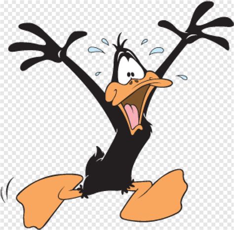 Daffy Duck Daffy Duck Vector Transparent Png 311x307 13054525