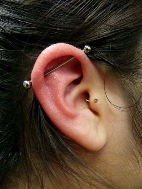 Industrial And Tragus Ear Piercings Piercings Piercing Tattoo