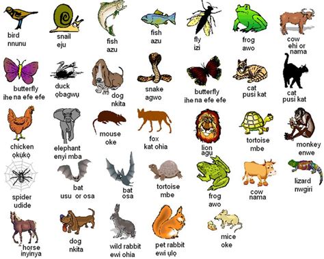 In this list contains some of african safari animals, most endangered animals in africa, deadliest animal in africa and other animals. Igbo names for animals | Learn english, English vocabulary ...
