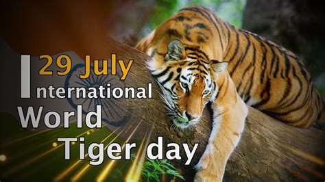 International Tiger Day 29 July ~ Current Affairs Ca Daily Updates