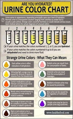 Urine Color Tells About Our Health MEDizzy