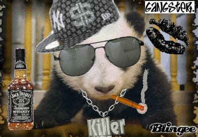 Support us by sharing the content, upvoting wallpapers on the page or sending your own background pictures. panda gangster Picture #88141070 | Blingee.com