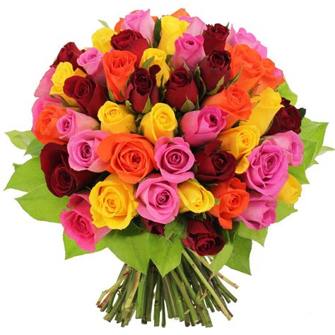 Bouquet 50 Roses Multicolores Livraison Express Florajet