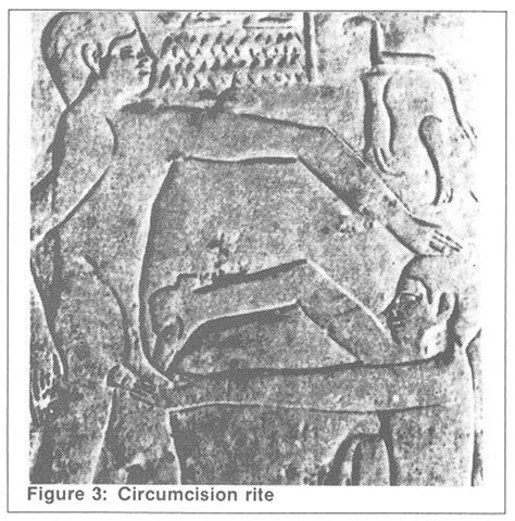 ancient egypt circumcision religious tradition circumcision ancient near east