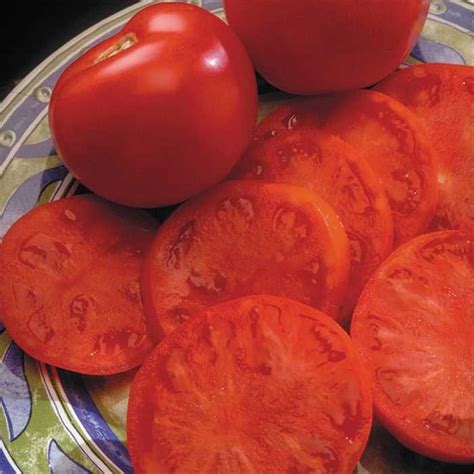 Sweet Seedless Hybrid Tomato Tomato Seeds Vegetable