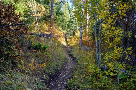 Go Hike Colorado Indian Creek Trail
