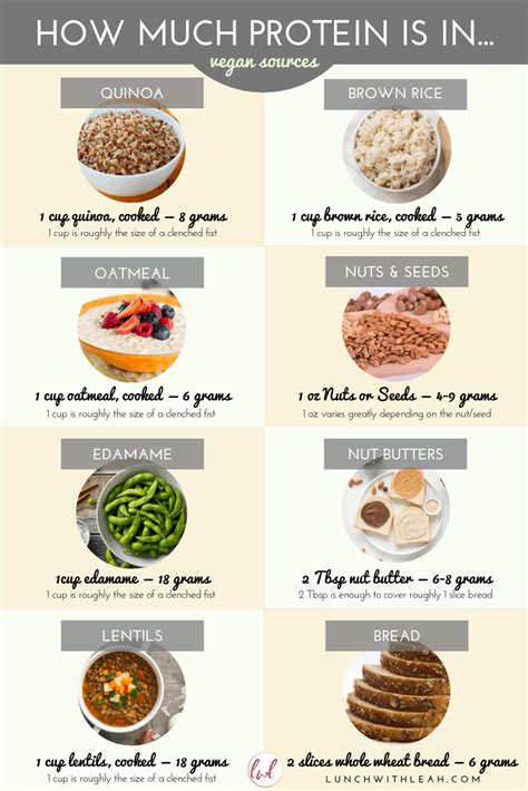 How Much Protein Do I Really Need Food Nutrition Facts High Protein Foods List Vegetarian