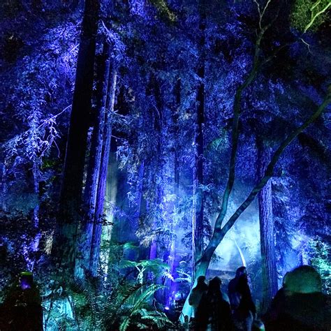 Christmas In Los Angeles Descanso Gardens Enchanted Forest Of Light