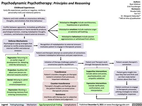 Psychodynamic Psychotherapy Principles And Reasoning Calgary Guide