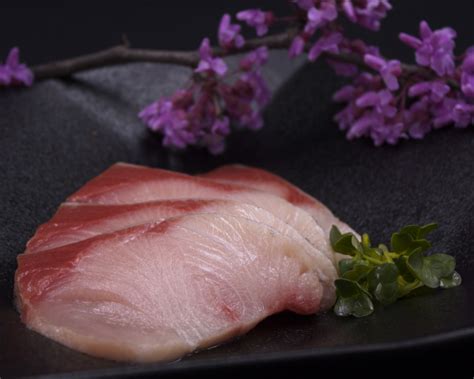 Farmed Japanese Yellowtail Back Loin Hamachi Frozen Tradewind Seafood