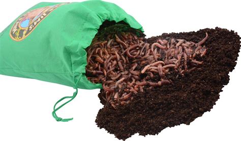 Uncle Jims Worm Farm European Nightcrawlers Composting And Fishing