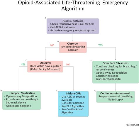 Acls Algorithms Review Opioid Associated Life Threatening Emergency