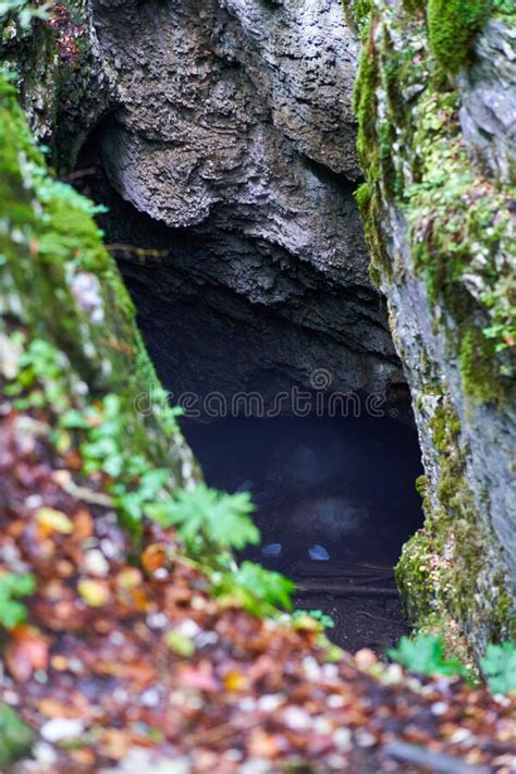Cave Entrance In The Forest Stock Image Image Of Prehistoric