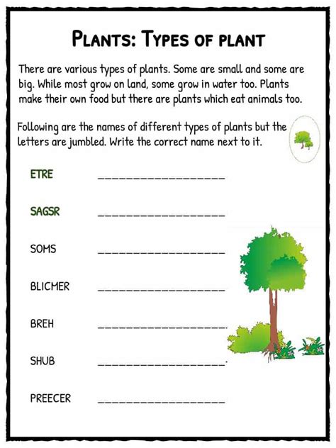 Plants have a vascular system containing the xylem and phloem for water, minerals and food transport to all parts of the plant. Types of Plant Worksheet | KidsKonnect