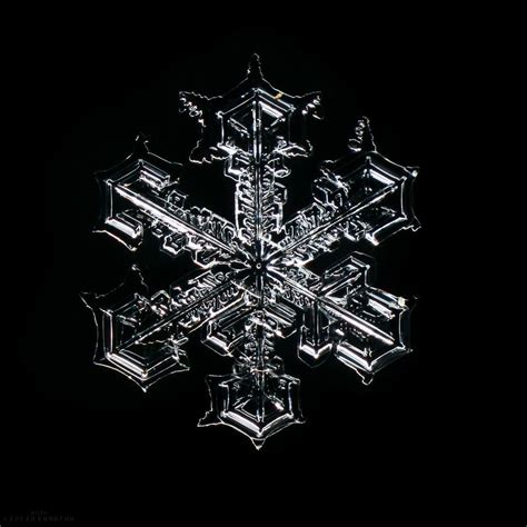 By Kichigin Sergey Snowflake Photos Snowflakes Snow Crystal