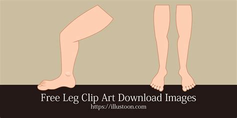 Free Leg Clip Art Images｜illustoon