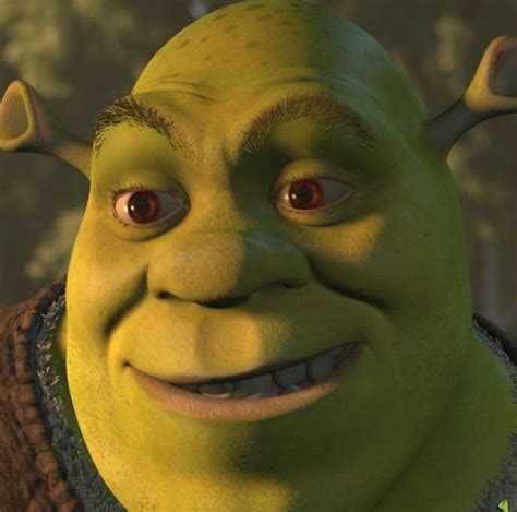 Human Or Ogre Form Shrek Poll Results Shrek Fanpop