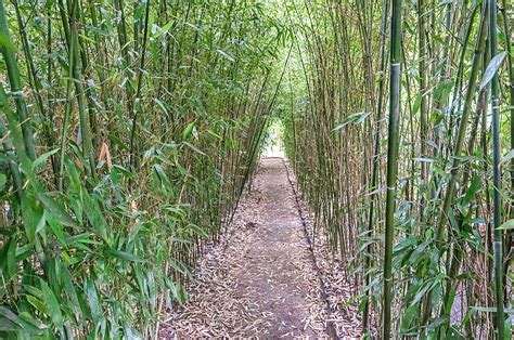 Botanischer garten ot schellerhau hauptstraße 41 a 01773 altenberg. Botanischer Garten Gießen - Fotos - Botanischer Garten