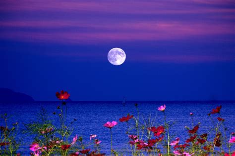Lake Night Fullmoon Flowers Full Moon Wallpapers Of Beautiful Lakes