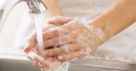 Las normas básicas de higiene ayudan a detener enfermedades infecciosas
