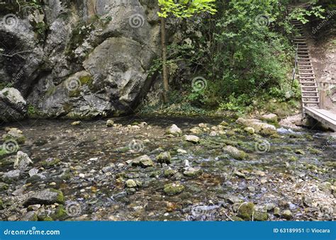 Bigar Waterfall Origin From Caras Severin In Romania Stock Photo