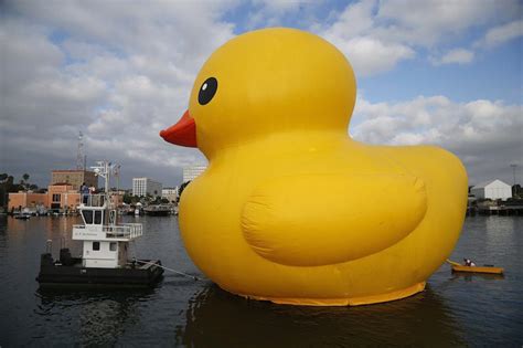 Giant Rubber Duck Floats Into Port Of Los Angeles Photos