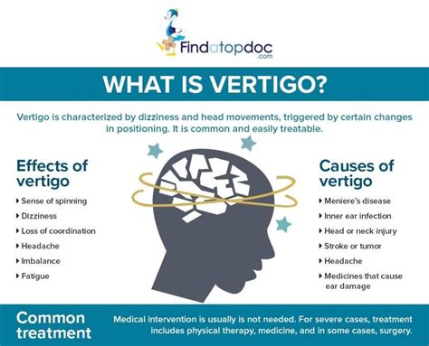Vertigo Causes And Effects Infographic