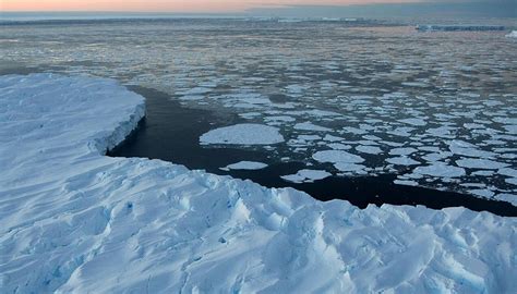 Explainer The Antarctic Oceans Ecological Richness And Significance