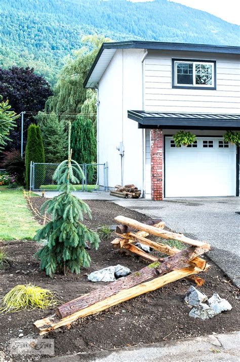 2 establish path of fence. Creating a split rail fence garden with weeping evergreen ...
