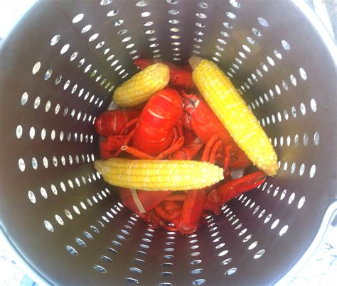 Shellfish, sausage, potatoes, and sweet corn are boiled together then tossed in a spicy. Lobsters for Labor Day - Five Fabulous Recipes. | How to cook lobster, Recipes, Steamed lobster