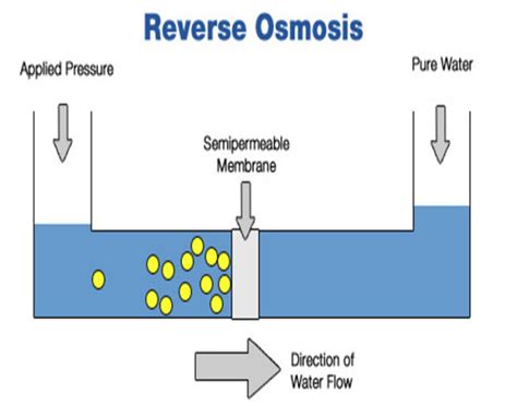 Reverse osmosis removes contaminants from unfiltered water, or feed water , when pressure forces it through a semipermeable membrane. Reverse Osmosis: A water purification process ...