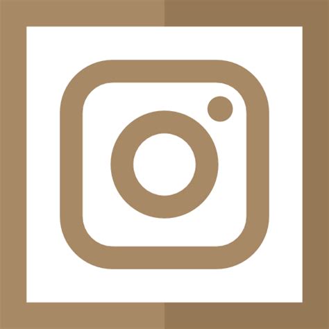 Instagram Icono Gratis