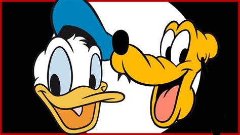 Disney Movies Classics Donald Duck Cartoon