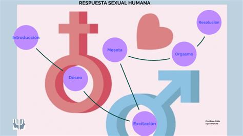respuesta sexual humana by cristhian cáliz on prezi next