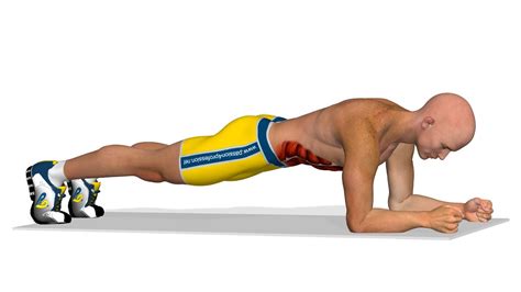 Exercitii Abdomen Plank Youtube