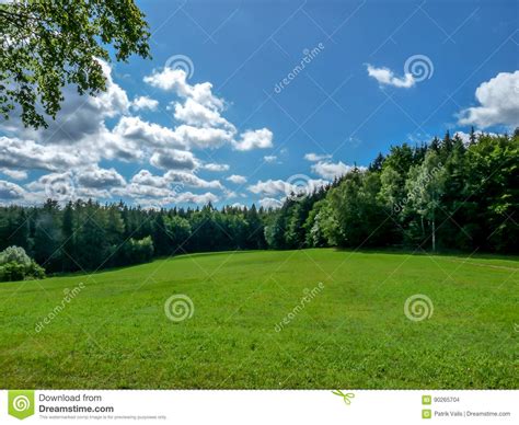 Grassy Meadow Between The Woods Stock Photo Image Of Countryside