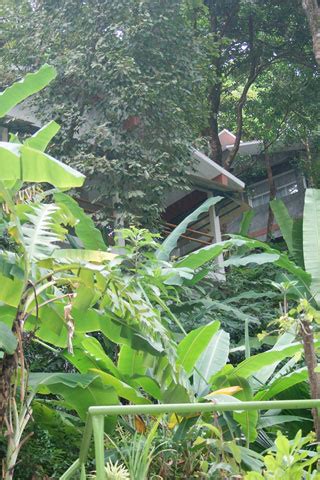 Ambong ambong langkawi rainforest retreat, jalan pantai tengah, langkawi, kedah, malaysia. Ambong-Ambong Rainforest Retreat review, Jalan Pantai ...