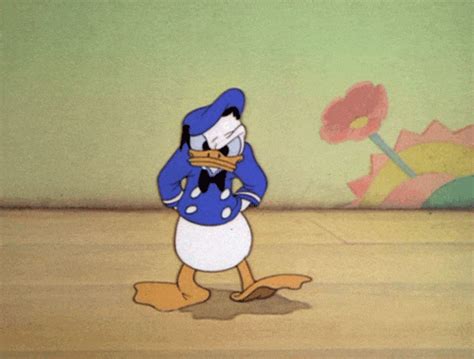 Donald Duck  Find And Share On Giphy