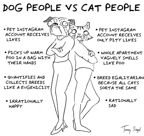 Are Cat People Smarter Than Dog People