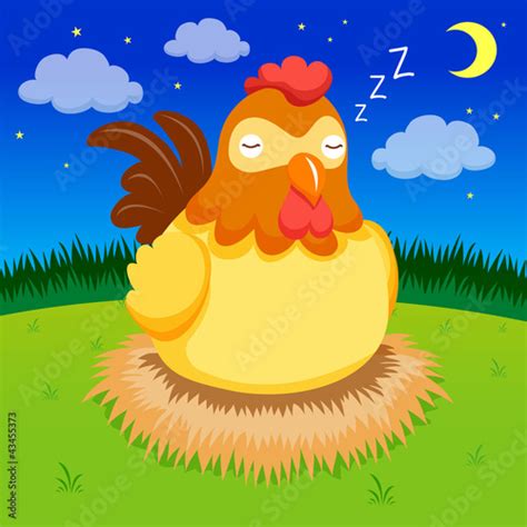 Hen Sleep Stock Image And Royalty Free Vector Files On