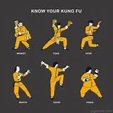 Chinese Kung Fu Styles Pictures